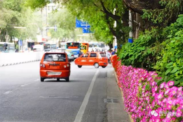 西宁花卉批发